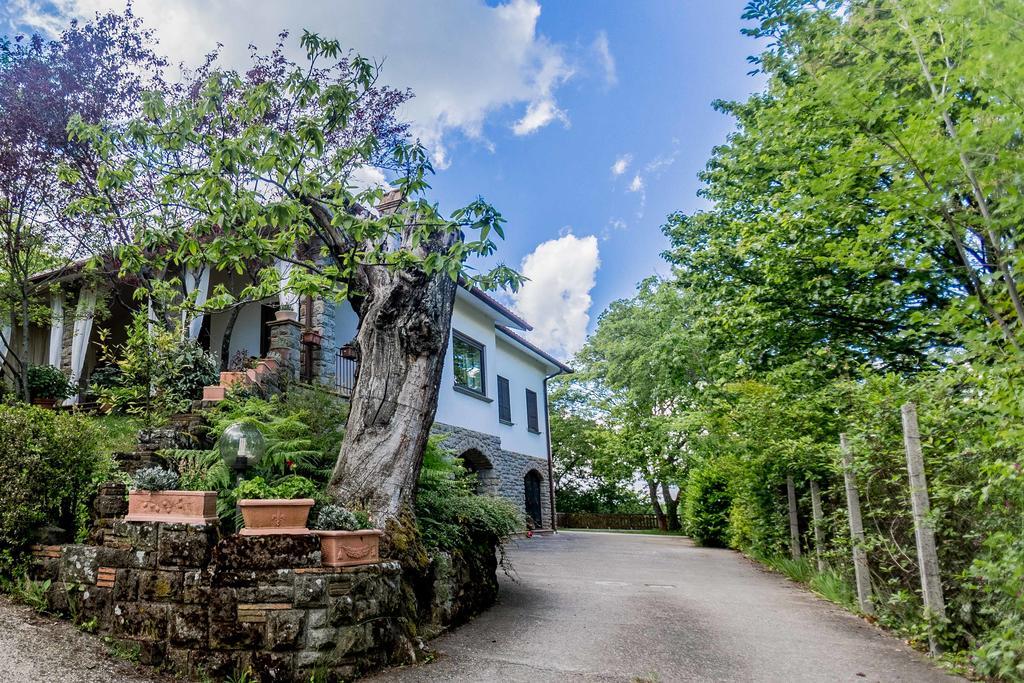 Bed and Breakfast Il Boschetto Di Castagni Соріано-нель-Чіміно Екстер'єр фото